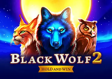 Black Wolf 2 Game image