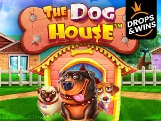 The Dog House Game image